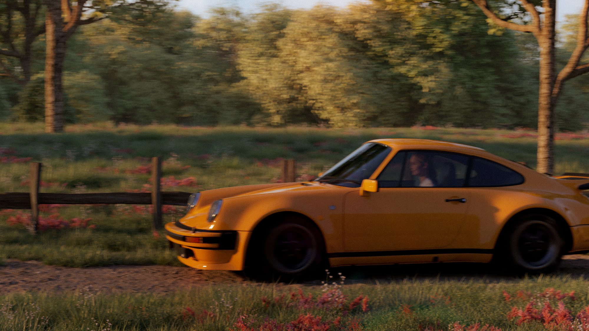 Porsche roadtrip — shot 5