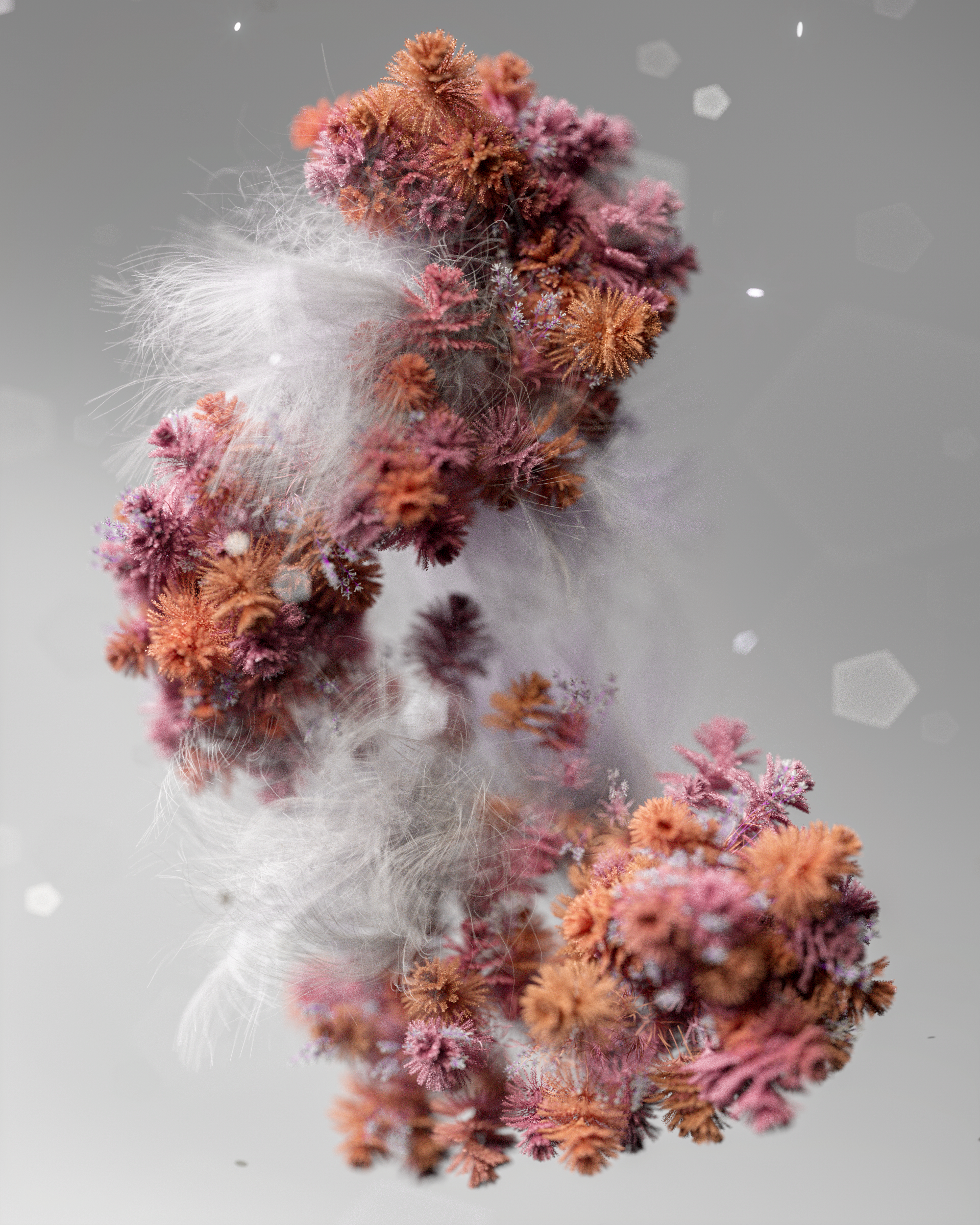 Abstract flower — Birthday