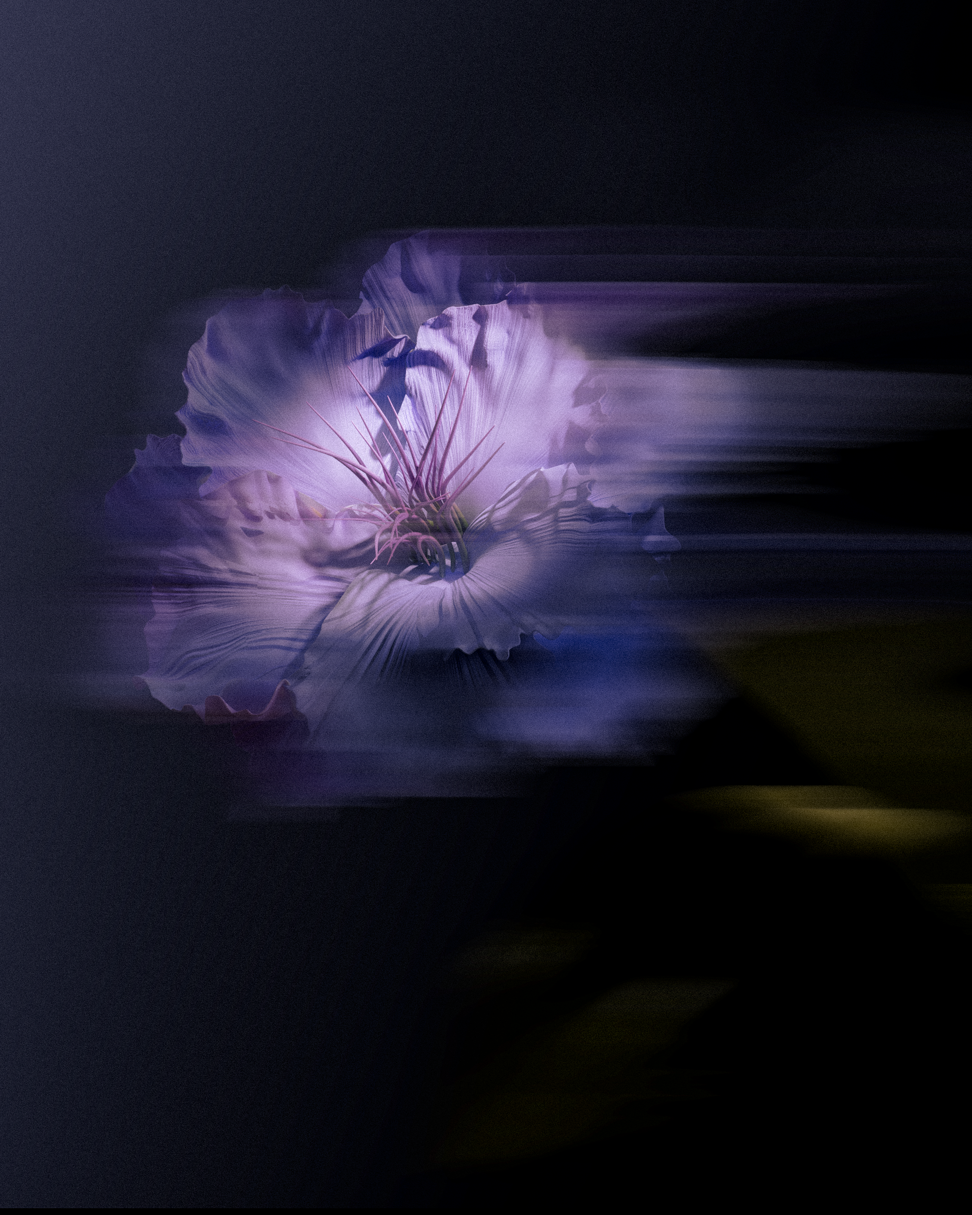 Still life flower — Motion blur